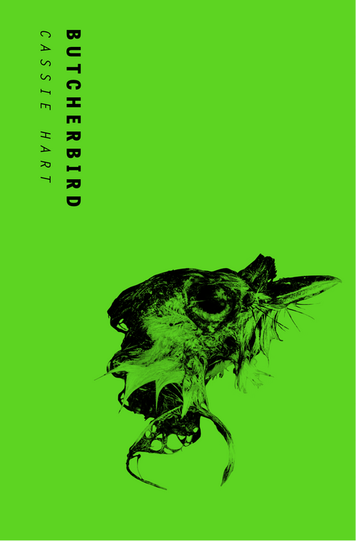Butcherbird supernatural thriller novel about a woman uncovering dark secrets at her family farm